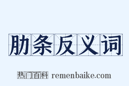 肋条反义词是什么意思的图片
